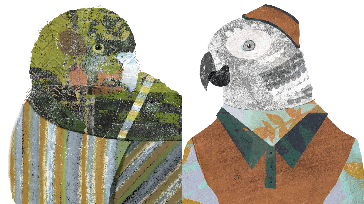 【星星教授安格斯 6/16-6/22 星座運勢】金牛發揮溫柔力,處女完美主義可能成壓力源