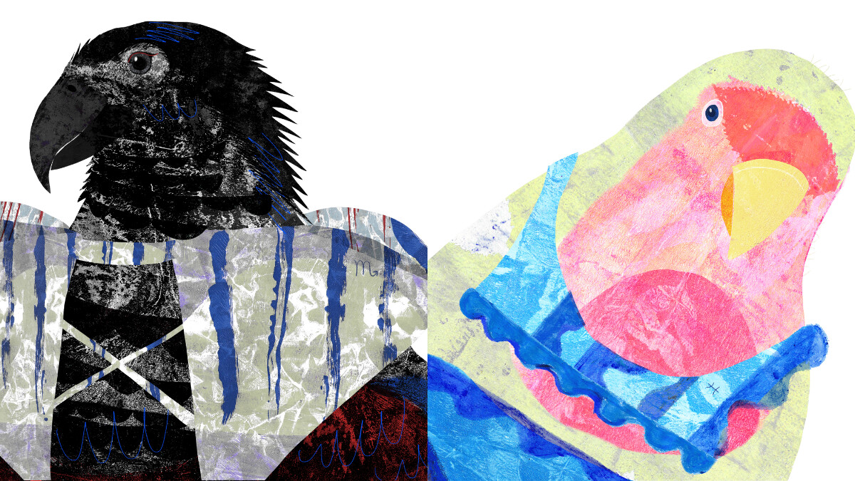 【星星教授安格斯 6/30-7/6 星座運勢】天蠍座旅遊運極強,雙魚的感性是桃花磁鐵