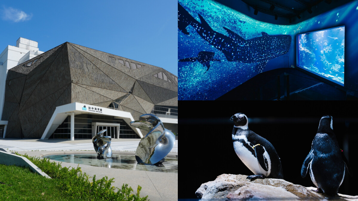 台中海洋館門票、開幕時間公開!斥資13億「全台最先進水族館」完整4層樓攻略