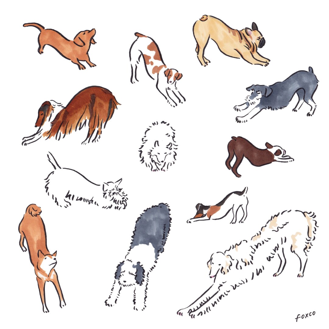 獨家專訪 雙層公寓 氣質插畫美人渡邊香織kaori 繪畫是最幸福的時刻 讓我帶著夢想前行 Marie Claire 美麗佳人