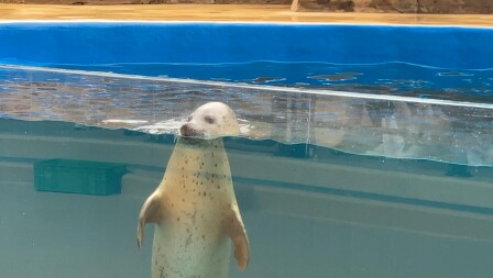 桃園xpark水族館8 7開幕 超夢幻展區 票價 交通資訊曝光 Marie Claire 美麗佳人