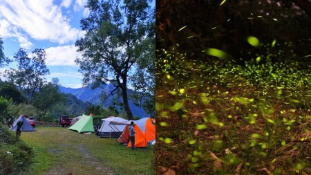 盤點全台7大 螢火蟲露營區 六星級露營地 刺激探索體驗 浪漫螢火蟲陪你入夢鄉 快把握時間衝一波 Marie Claire 美麗佳人