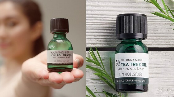 囤貨狂M編多年家裡沒斷貨過的THE BODY SHOP茶樹精油!在這疫情艱困時刻根本神相助啊!