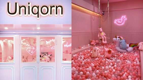 【師大咖啡廳】《Uniqorn Taiwan》粉紅獨角獸咖啡廳登場！粉紅電話亭、粉紅球池5大夢幻必拍場景