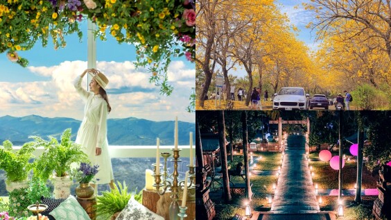 2022情人節約會景點推薦!盤點全台15大浪漫去處,花海、神社美照拍不完