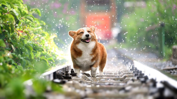 2022穀雨到!這天賞花、泡澡可招桃花 3禁忌當心影響健康