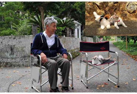 貓奴們無法抵擋!《老師與流浪貓》貓咪的陪伴回憶與亡妻的愛情過往