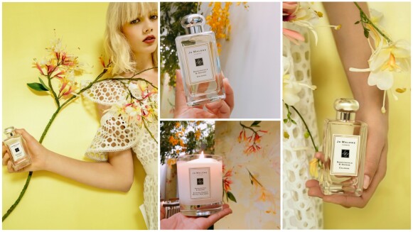 Jo Malone London 2018年度新香水「忍冬與印蒿」現身,搭上英國梨與小蒼蘭,是英倫時尚的清新味道