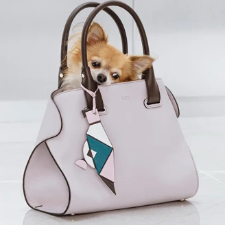 TOD’S廣告短片出爐囉！向率真自我的傻大姊致敬