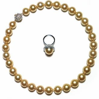 Tiffany &amp; Co. 頂級珠寶饗宴，海洋之美閃耀紐約夜空！