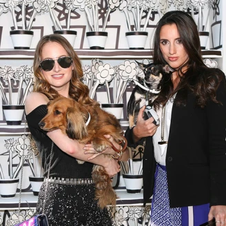 Jimmy Choo下午茶時尚派對，與毛小孩共享愜意時光！