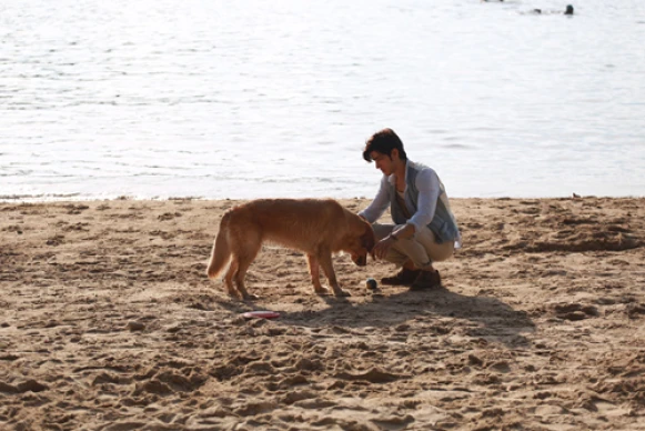 東方熱正夯！BVLGARI《大師微電影》與優酷攜手大拍炙熱愛戀 