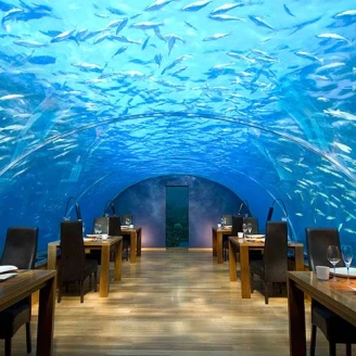 OMG！世界最令人驚嘆餐廳大搜奇