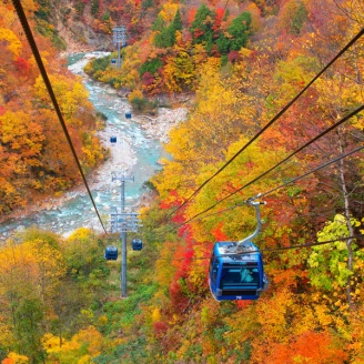 賞紅葉 品美食 騎單車，秘境中的秋日滿足小旅行！