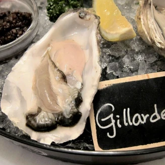 5款新鮮生蠔大口吃！勞瑞斯餐廳9月推出法國頂級生蠔拼盤