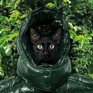 32位當代攝影巨擘傾情詮釋盟可睞MONCLER MAYA經典羽絨外套