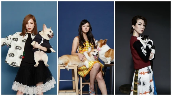 明星與他們的毛小孩們!(王心凌、路嘉欣、邵庭)