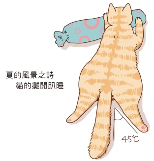 貓奴請享用！各式貓屁屁大全～