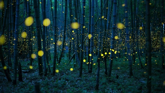 二十張讓你一秒感動的攝影作品，一起看遍全世界～