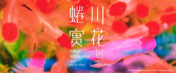 《蜷川實花展》贈獎活動