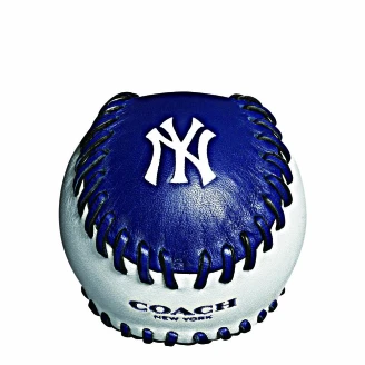 Coach! MLB 教練上場! 