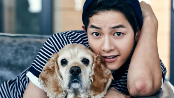 宋仲基,卸下好男人情結