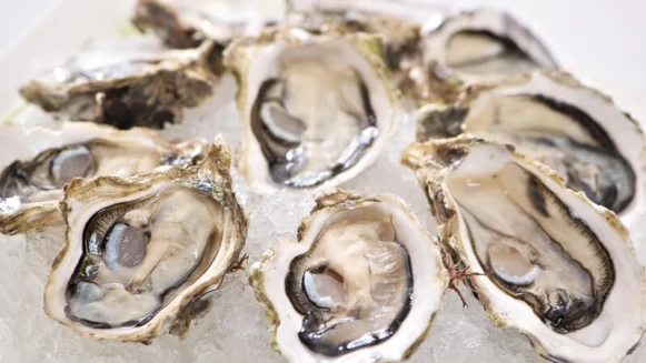 「蠔」氣海鮮吃到飽！神旺飯店伯品廊推出澎湖生蠔季