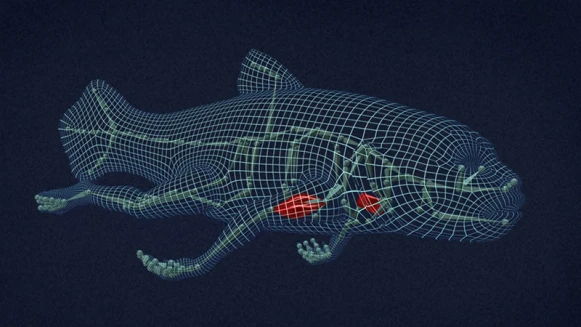 「跨越時空的形變語言。」台北市立美術館《鏡—李小鏡回顧展》