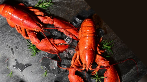 北美老饕都期盼的快閃美味來了！超乎你對龍蝦的味蕾想像