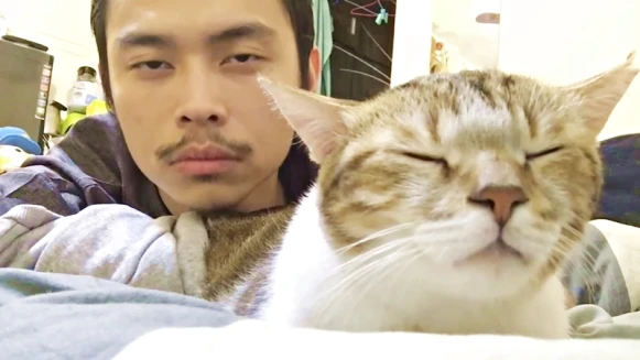 史上最療癒！超夯萌寵大集合