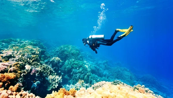 世界海洋日 愛護藍色海洋預備起