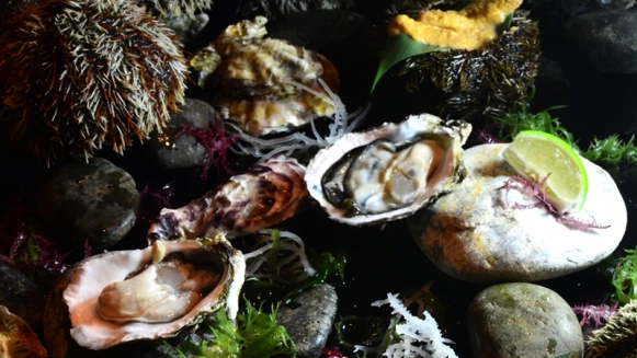 炎炎夏日消暑良方！君品酒店海鮮下午茶透心涼