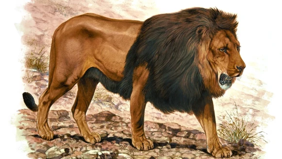 回歸地球初衷！愛馬仕＜野性與脆弱＞動物畫展BELLAVITA揭幕