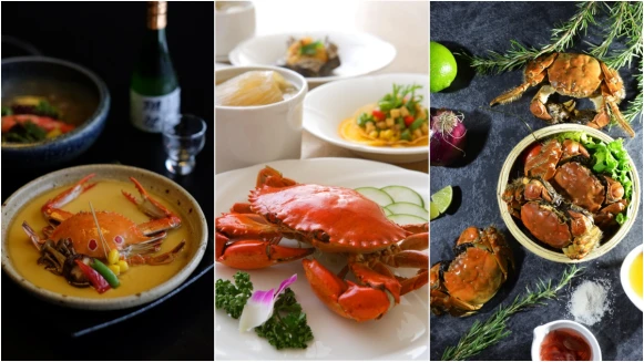 入秋美食非螃蟹莫屬！特搜4家餐廳大啖美味秋蟹料理