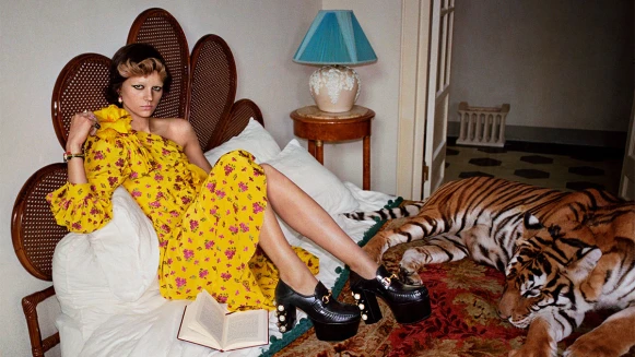 GUCCI 2017春夏廣告釋出！攜手Glen Luchford打造與動物狂歡的超現實夢境