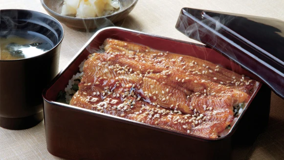 日本橋玉井登台！在台灣也能吃到日式純正星鰻料理