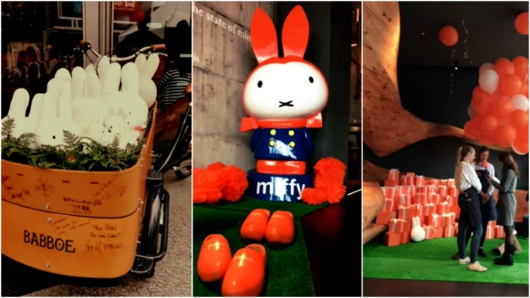 米飛兔入侵 RAW The King&#039;s Day就要大家吃喝玩樂湊熱鬧