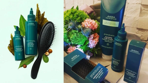 夏日完美髮型的當務之急－搞定「頭皮」裡的熱帶雨林