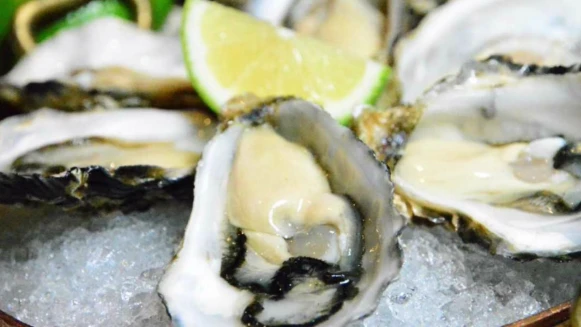 鮮美生蠔吃到飽！君品酒店雲軒推「思萊河生蠔饗宴」老饕必嘗