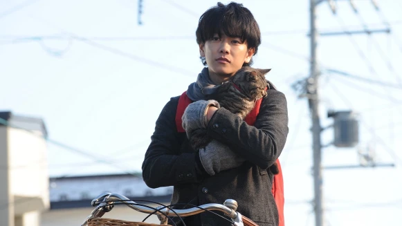 【李維菁專欄】熊和貓