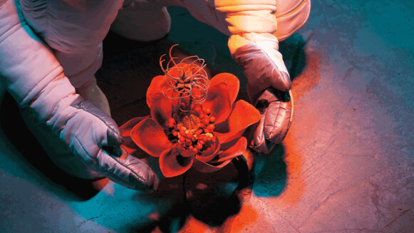 從台灣放眼亞洲LGBTQ族群—台北當代藝術館《光・合作用─亞洲當代藝術同志議題展》