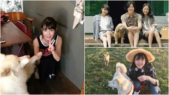 被國民妹妹IU圈粉!來到濟洲島《孝利家民宿》打掃、料理、瑜珈運動…樣樣都得做