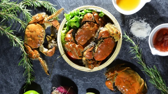 秋天就是要大閘蟹吃到飽！還推出CP值超高當令海鮮、現做義式料理都在君品酒店