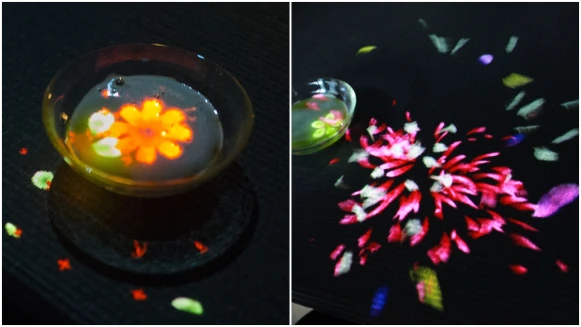 「在點點星光閃爍的銀河中，邊喝著一杯WASO特調的日本茶」資生堂攜手teamLab帶來一場宛如夢境的魔幻森林之旅