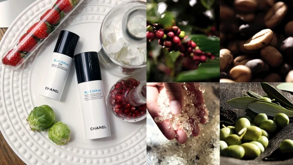 You are what you eat！美肌專屬「超級食物」正夯， 將飲食保養力化做肌膚青春生命力！