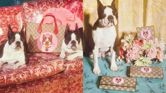 狗狗本人加入大片拍攝Q炸了！13款Gucci狗年限定禮物清單來了