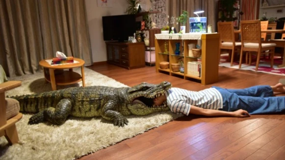 只有日本人才能超越日本人！超荒謬真實事件《每天回家老婆都在裝死》電影版初夏感人登場～