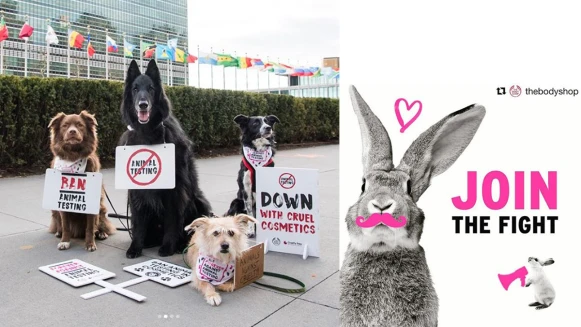 超人氣汪星人的新年新願望！追求美麗也堅持不傷害毛孩兒才是美麗最高境界！