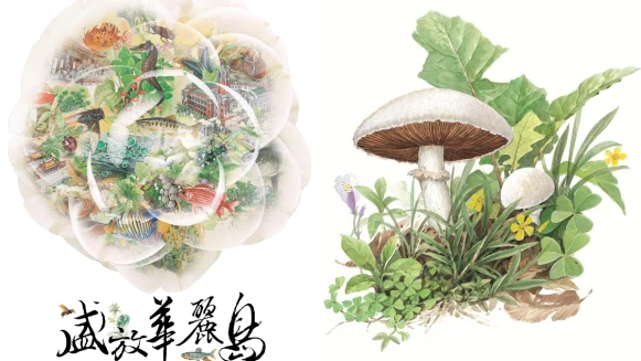 一花一世界！「盛放華麗島」特展，展出台灣博物繪師黃崑謀原作，洋溢細膩奔放生命力