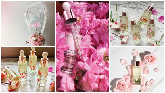 就是這一罐！零負評神級美容油～香緹卡「五月玫瑰花妍極粹精華油」推出限量手繪瓶身